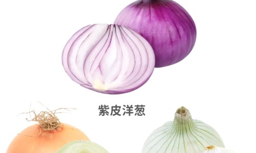 冰糖炖梨功效和作用专区_冰糖炖鸭蛋有什么功效和作用专区_冰糖炖鸭蛋有什么功效网