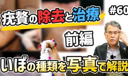 冰糖炖洋葱功效与作用-冰糖炖梨功效和作用专区_冰糖炖鸭蛋有什么功效和作用专区_冰糖炖鸭蛋有什么功效网